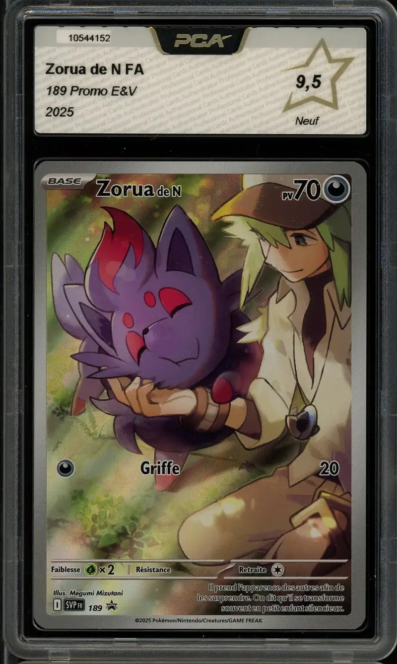 PCA 9.5 Zorua de N
