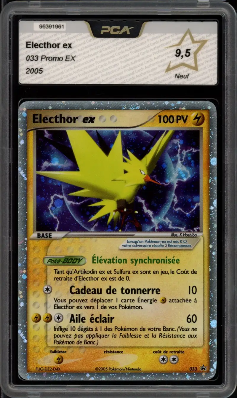 PCA 9.5 Electhor Ex