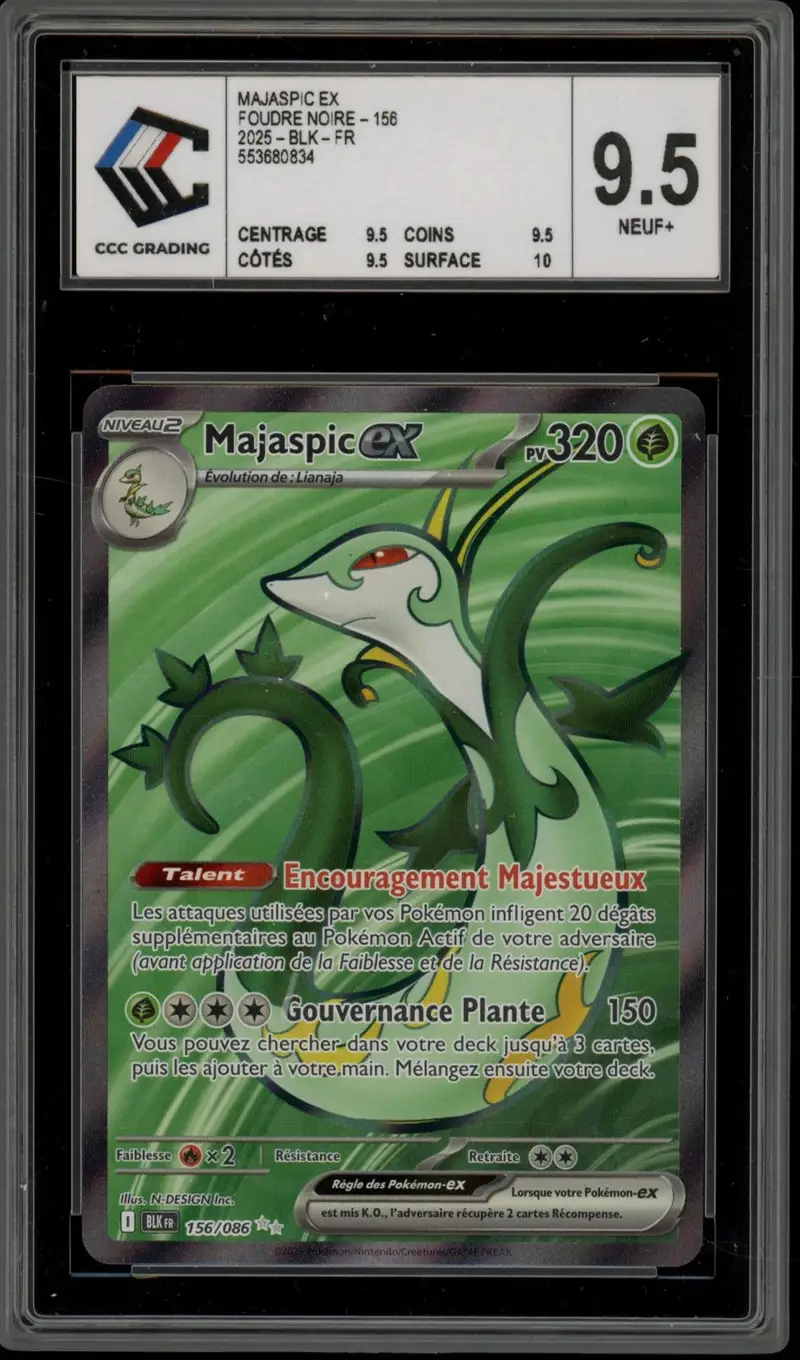 CCC 9.5 Majaspic Ex