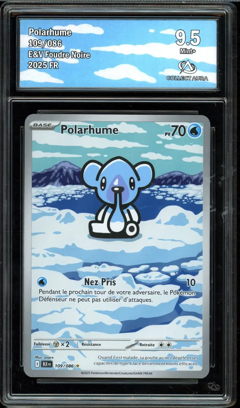 CA 9.5 Polarhume