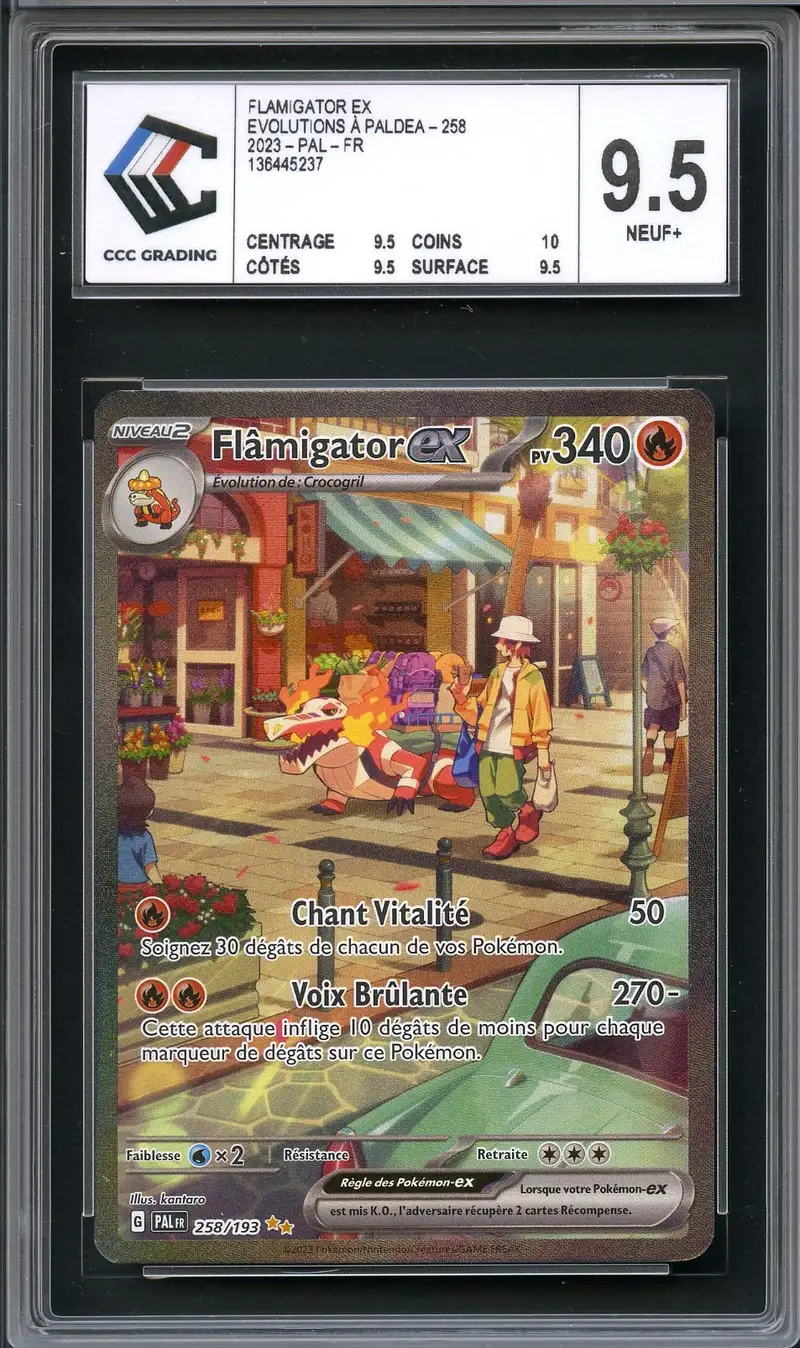 CCC 9.5 Flâmigator Ex