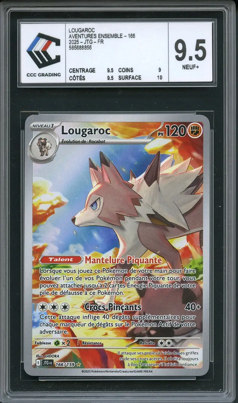 CCC 9.5 Lougaroc