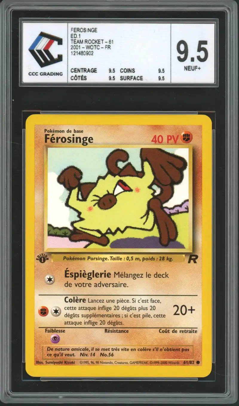 CCC 9.5 Férosinge