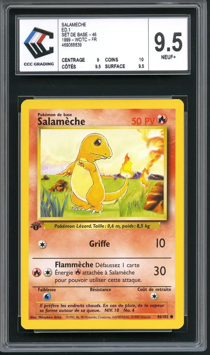 CCC 9.5 Salamèche