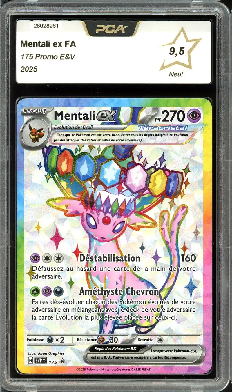 PCA 9.5 Mentali Ex