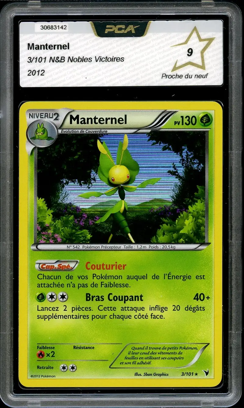 PCA 9 Manternel Holo