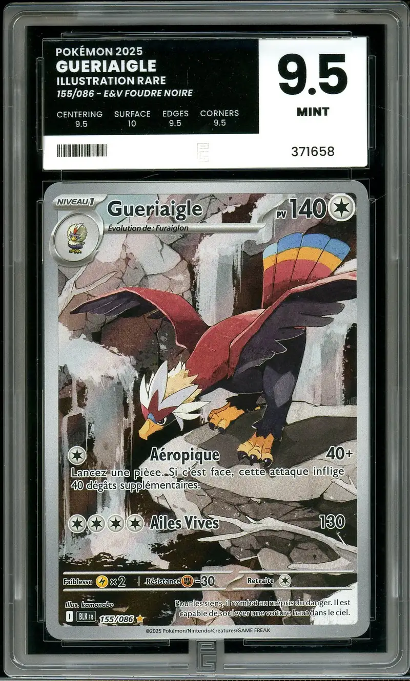 PG 9.5 Gueriaigle