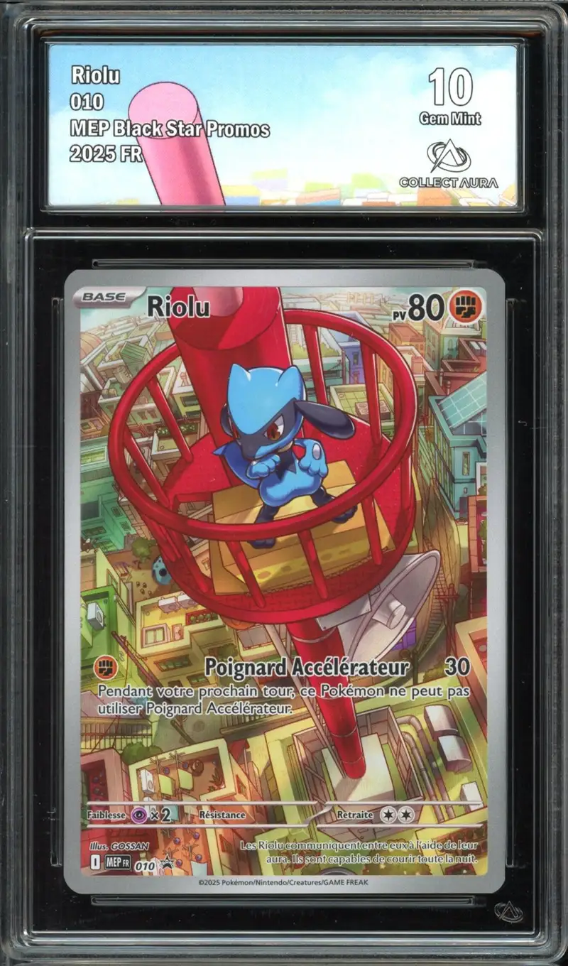 CA 10 Riolu