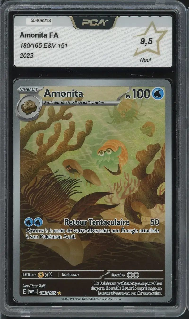 PCA 9.5 Amonita