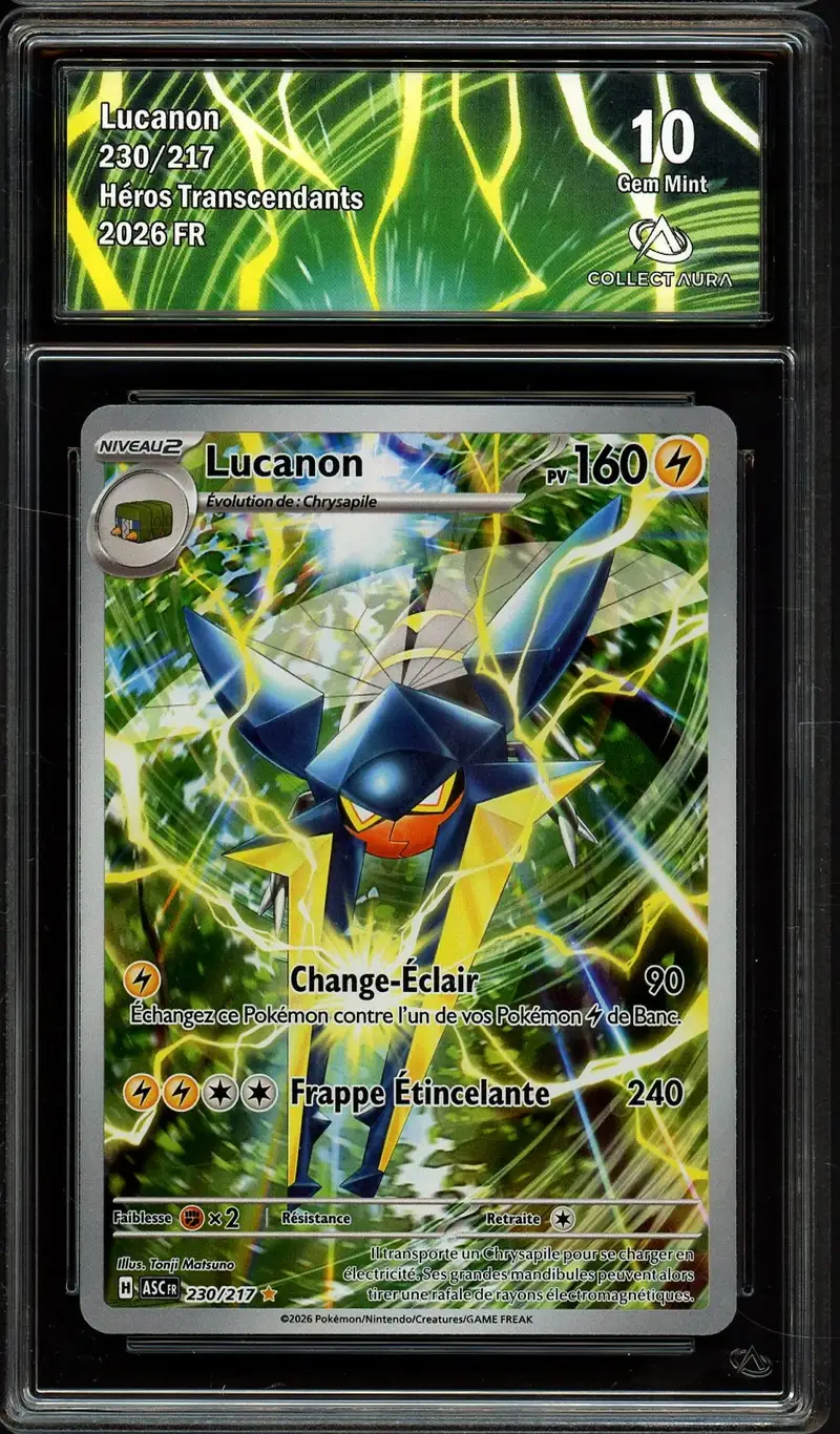 CA 10 Lucanon