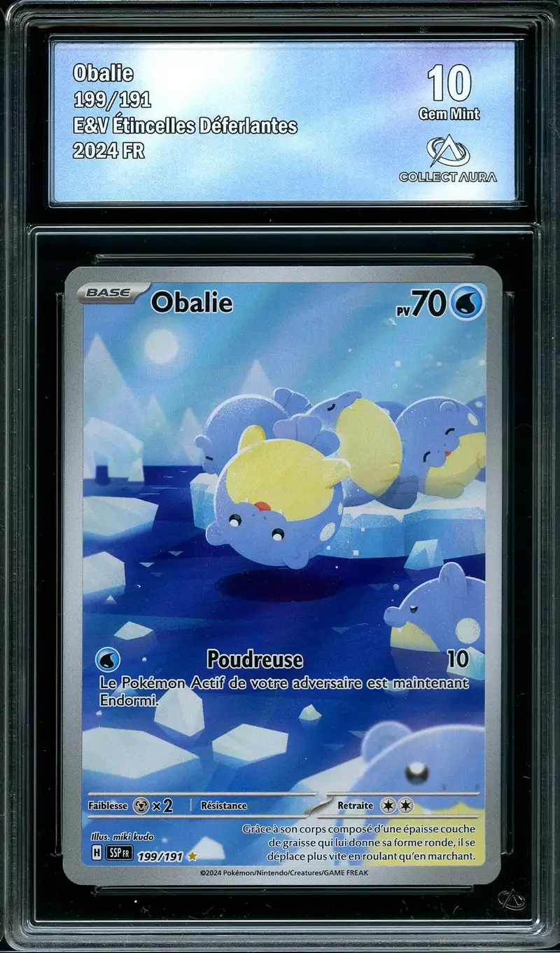 CA 10 Obalie