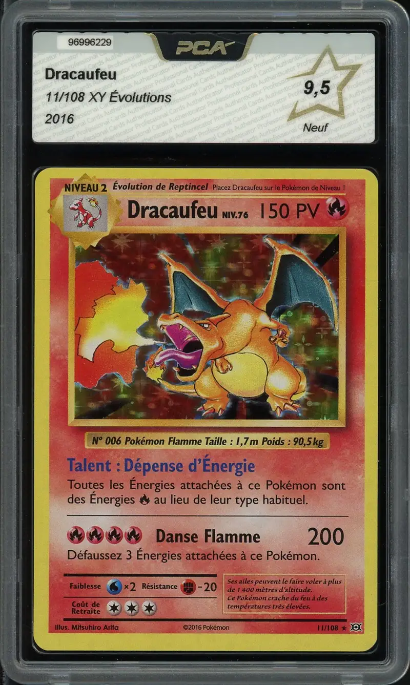 PCA 9.5 Dracaufeu Holo