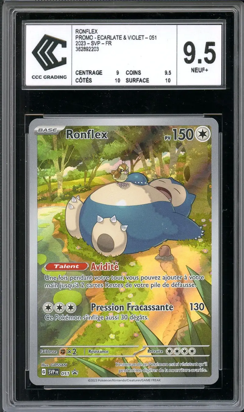 CCC 9.5 Ronflex