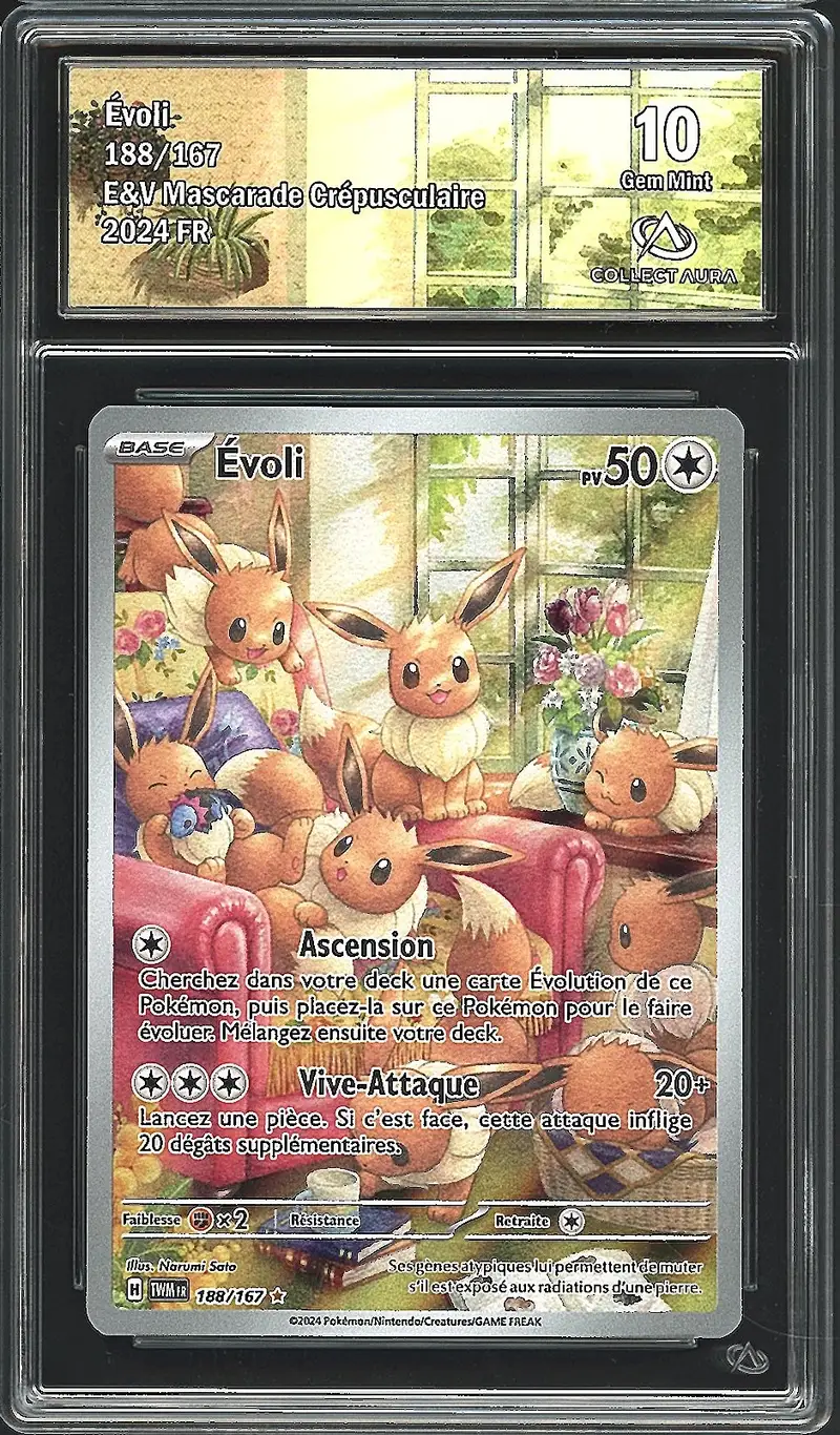 CA 10 Evoli