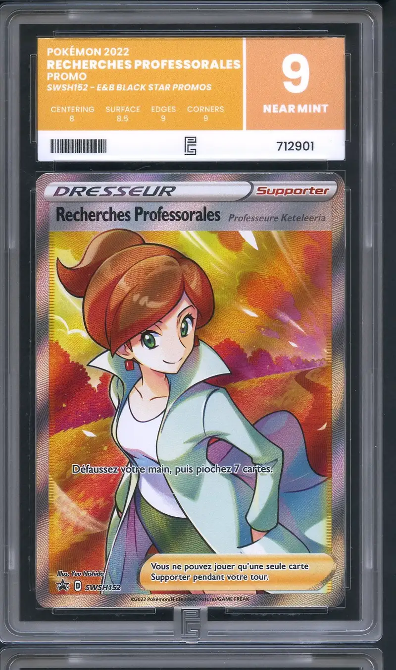 PG 9 Recherches Professorales Professeure Keteleeria