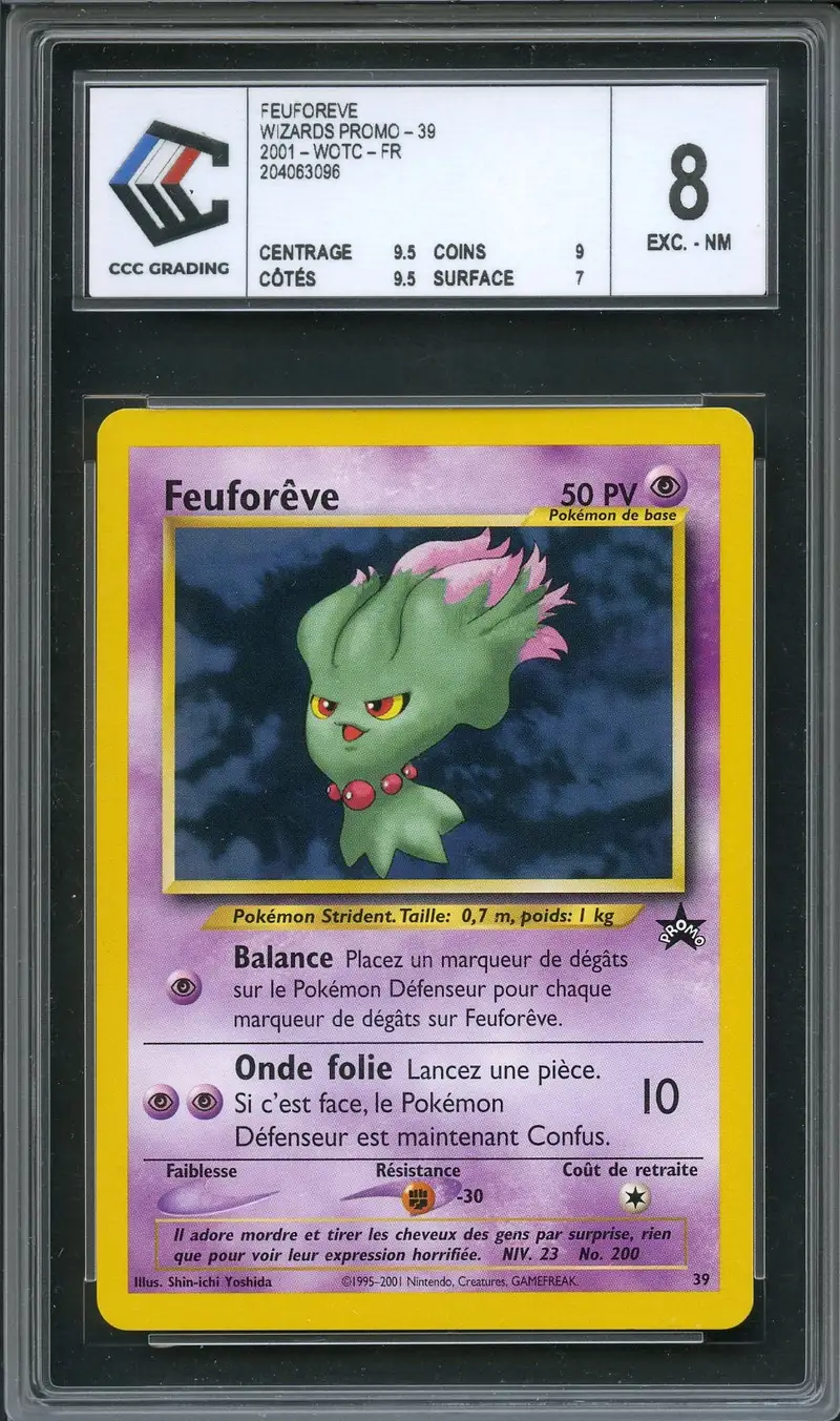 CCC 8 Feuforêve