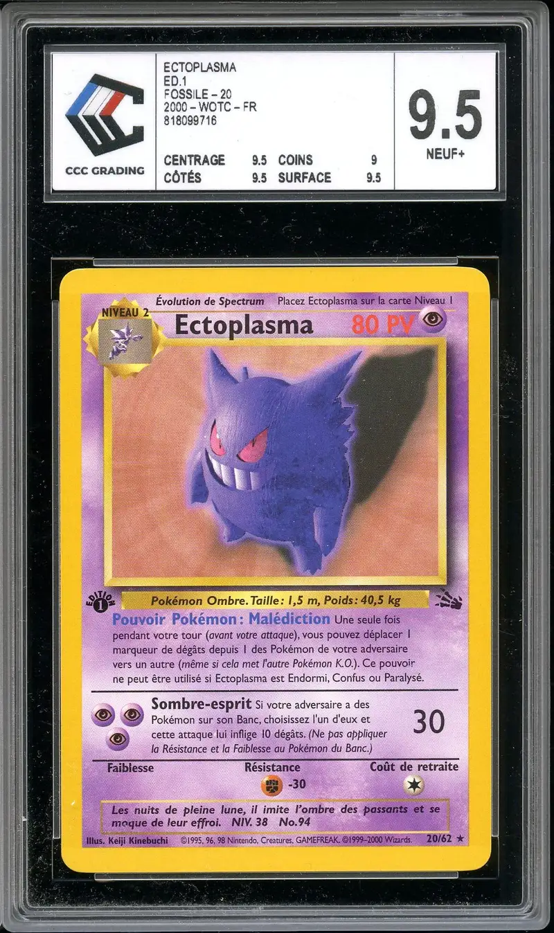 CCC 9.5 Ectoplasma