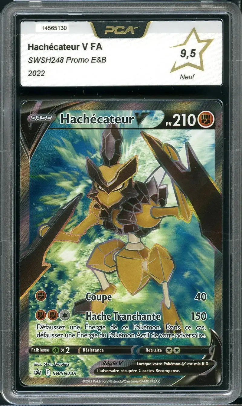 PCA 9.5 Hachécateur V