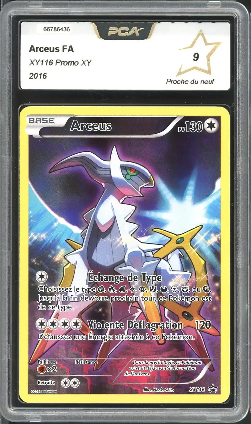 PCA 9 Arceus