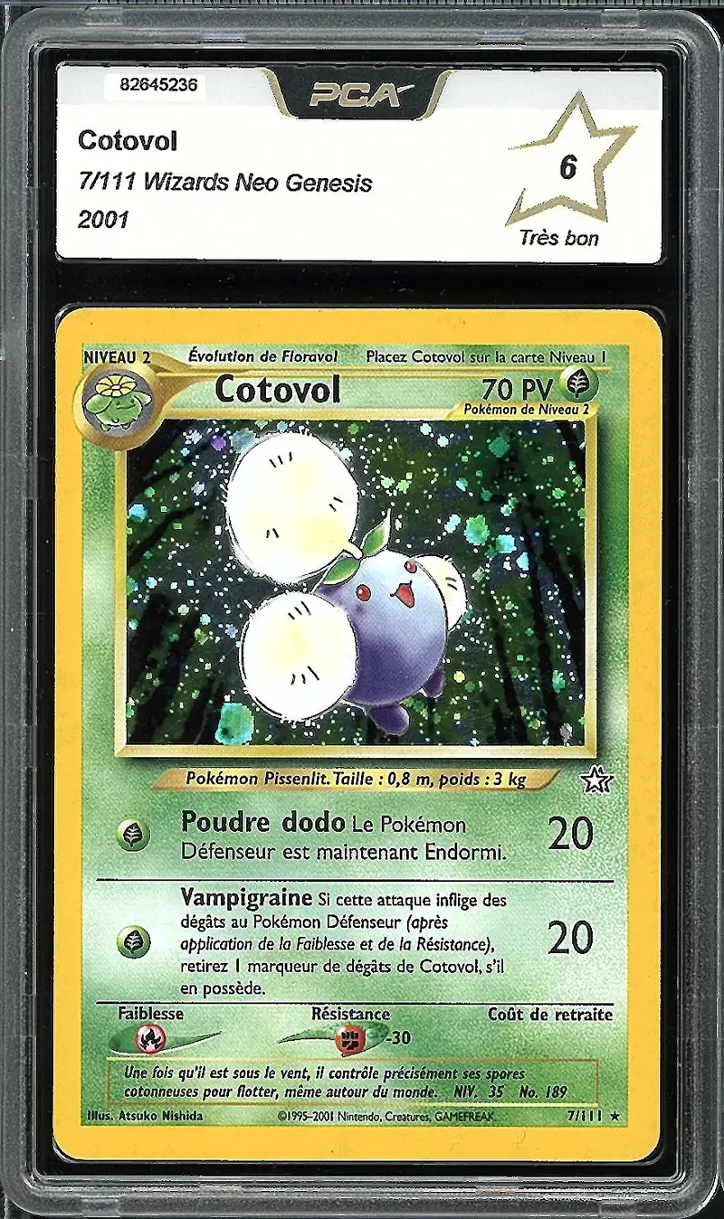 PCA 6 Cotovol Holo