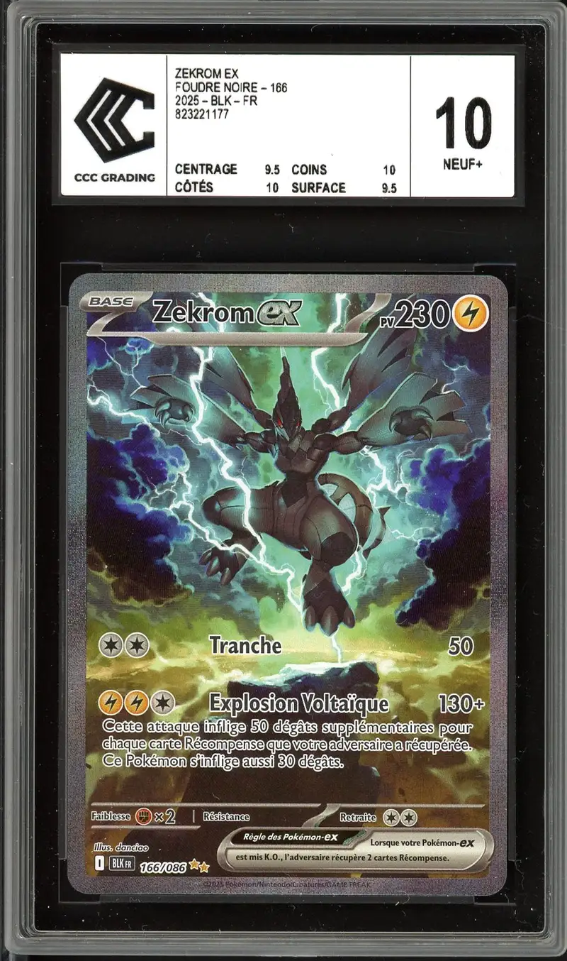 CCC 10 Zekrom Ex