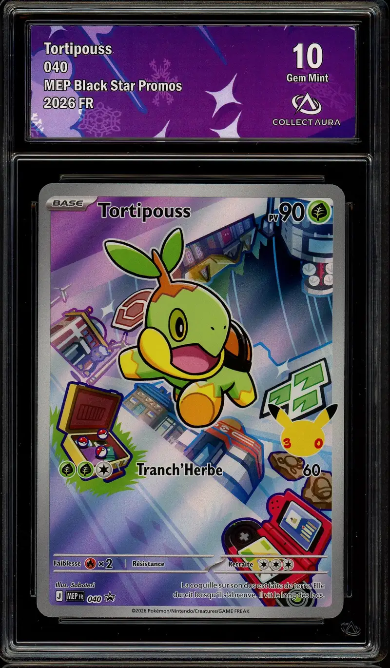 CA 10 Tortipouss