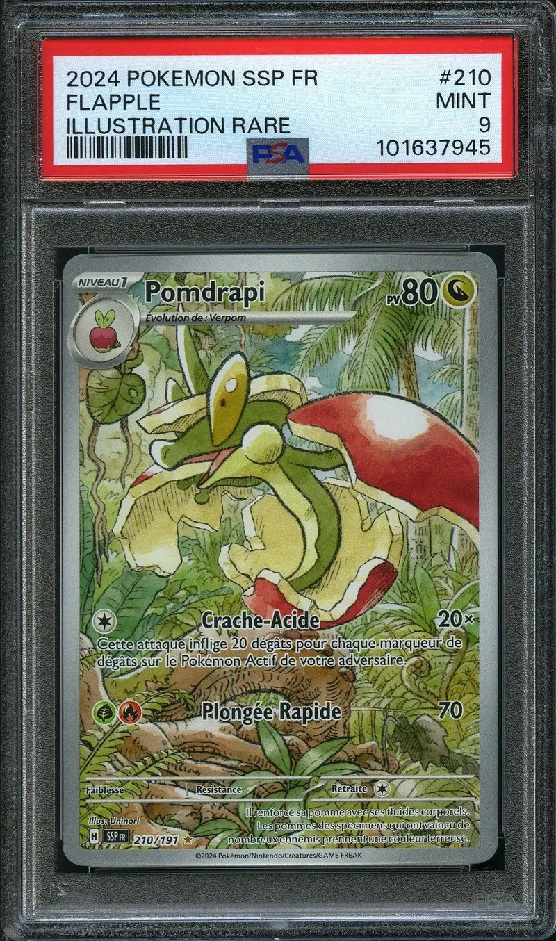 PSA 9 Pomdrapi