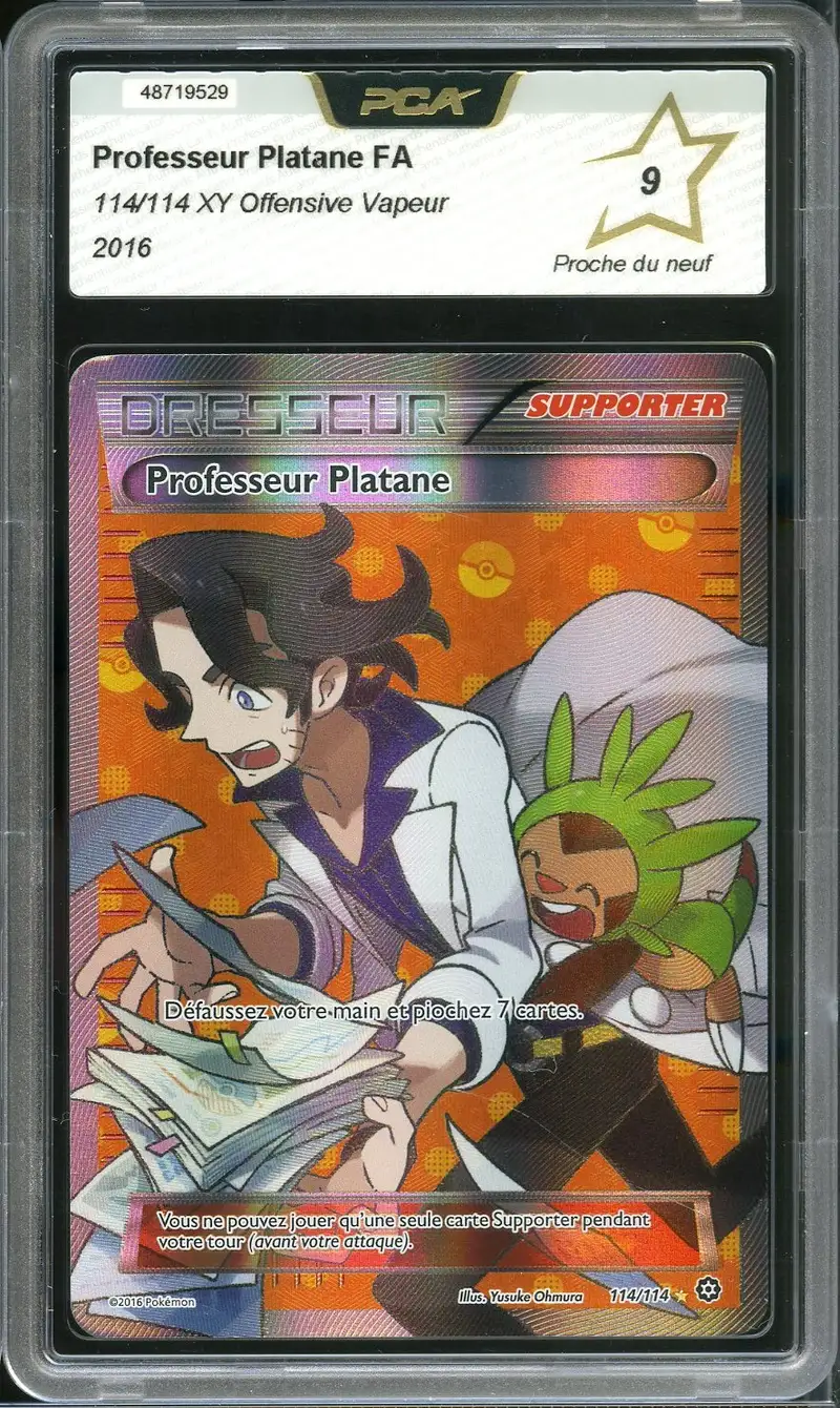 PCA 9 Professeur Platane
