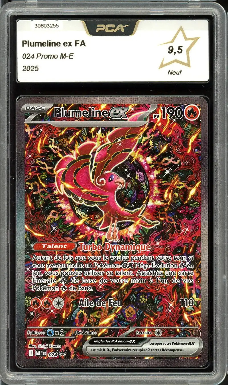 PCA 9.5 Plumeline Ex