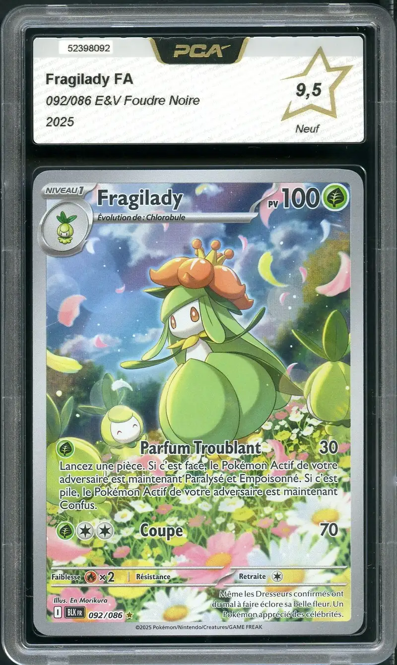 PCA 9.5 Fragilady