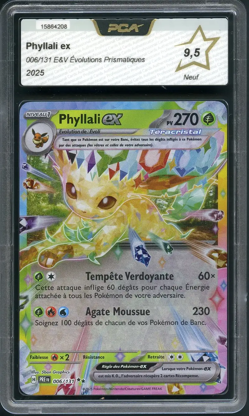 PCA 9.5 Phyllali Ex