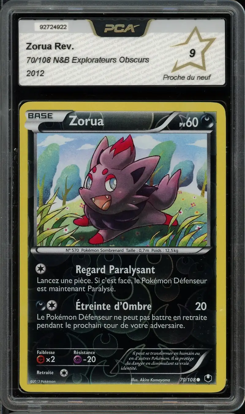 PCA 9 Zorua