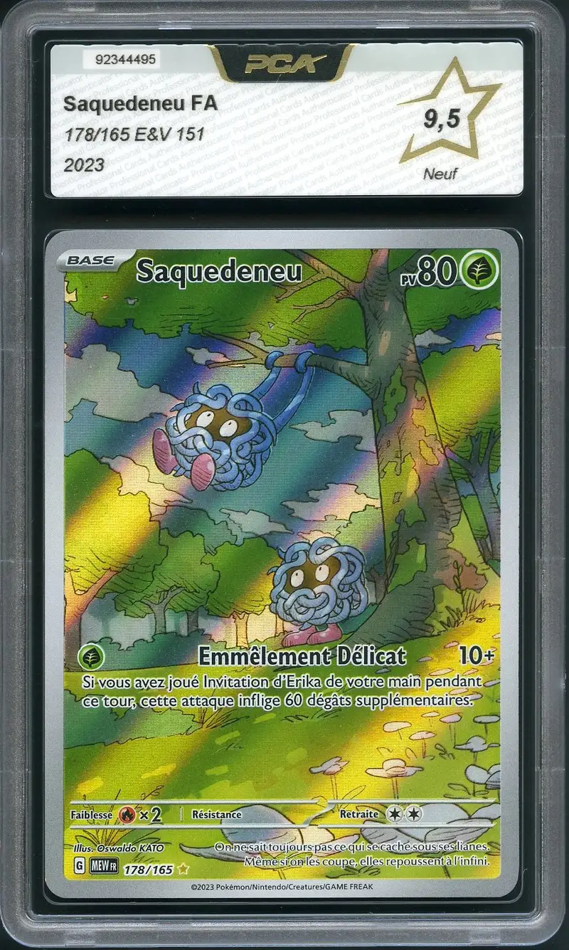PCA 9.5 Saquedeneu