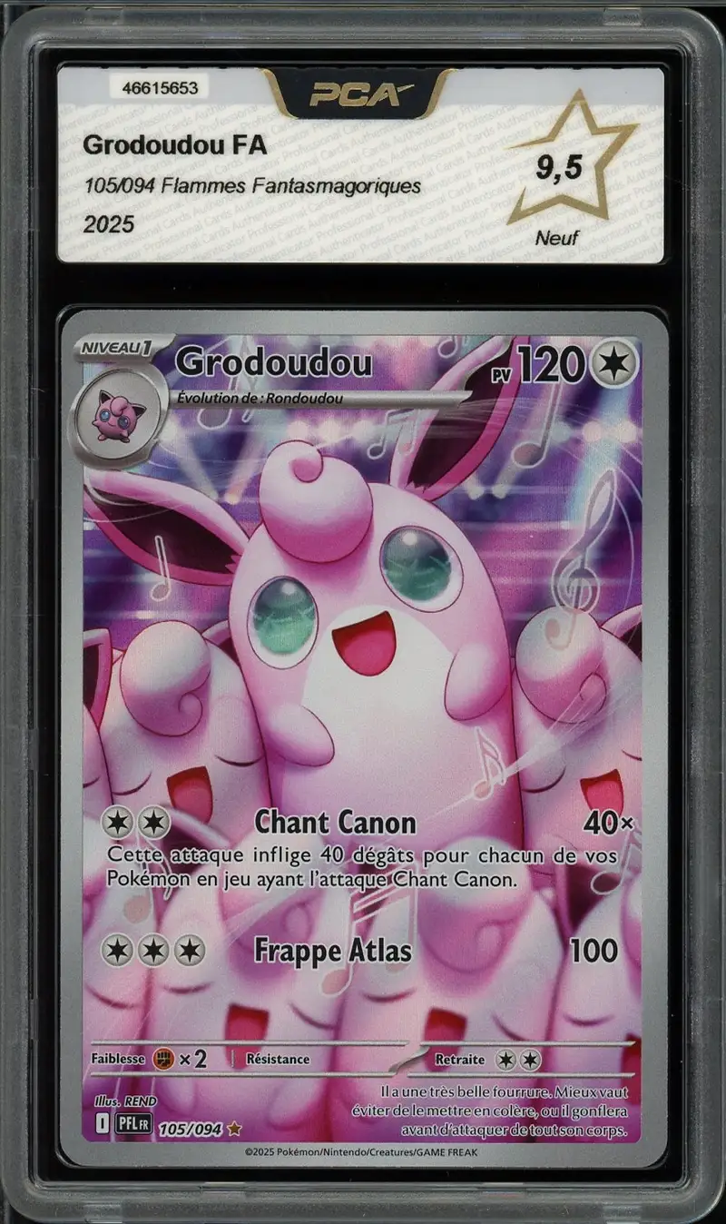 PCA 9.5 Grodoudou