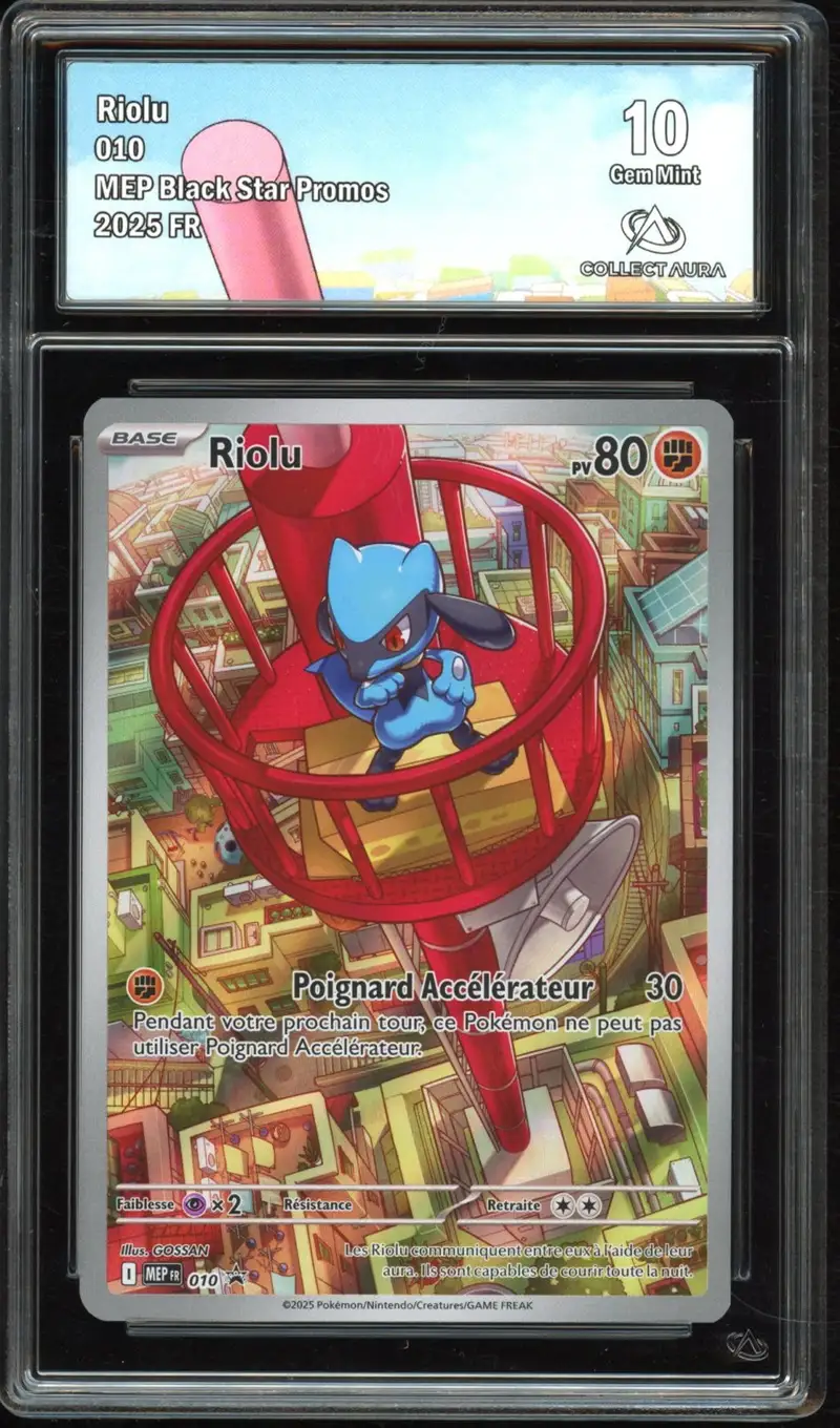 CA 10 Riolu