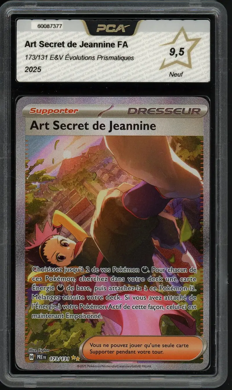 PCA 9.5 Art Secret de Jeannine