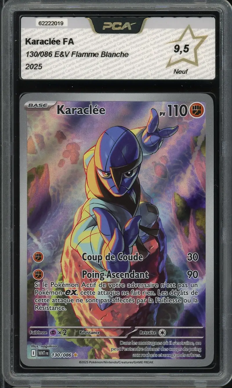 PCA 9.5 Karaclée