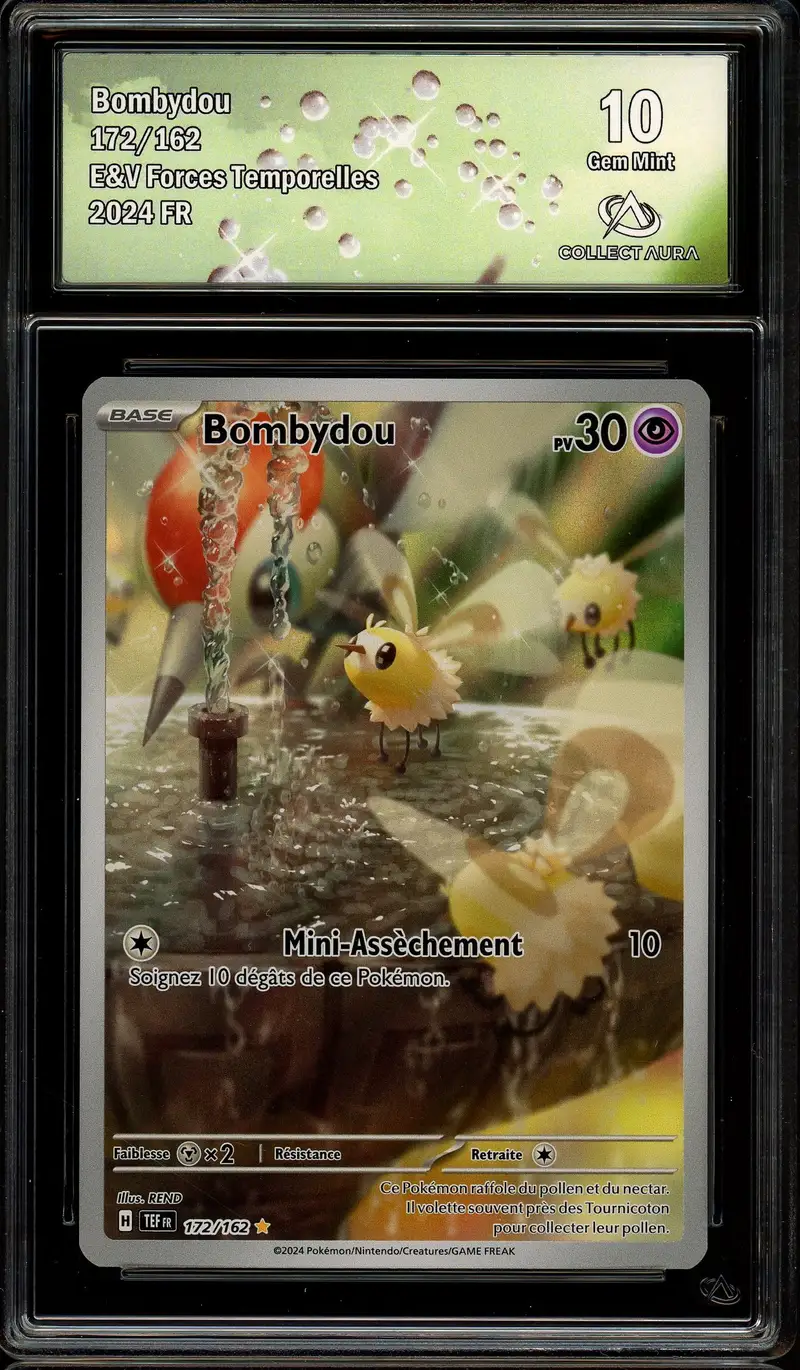 CA 10 Bombydou