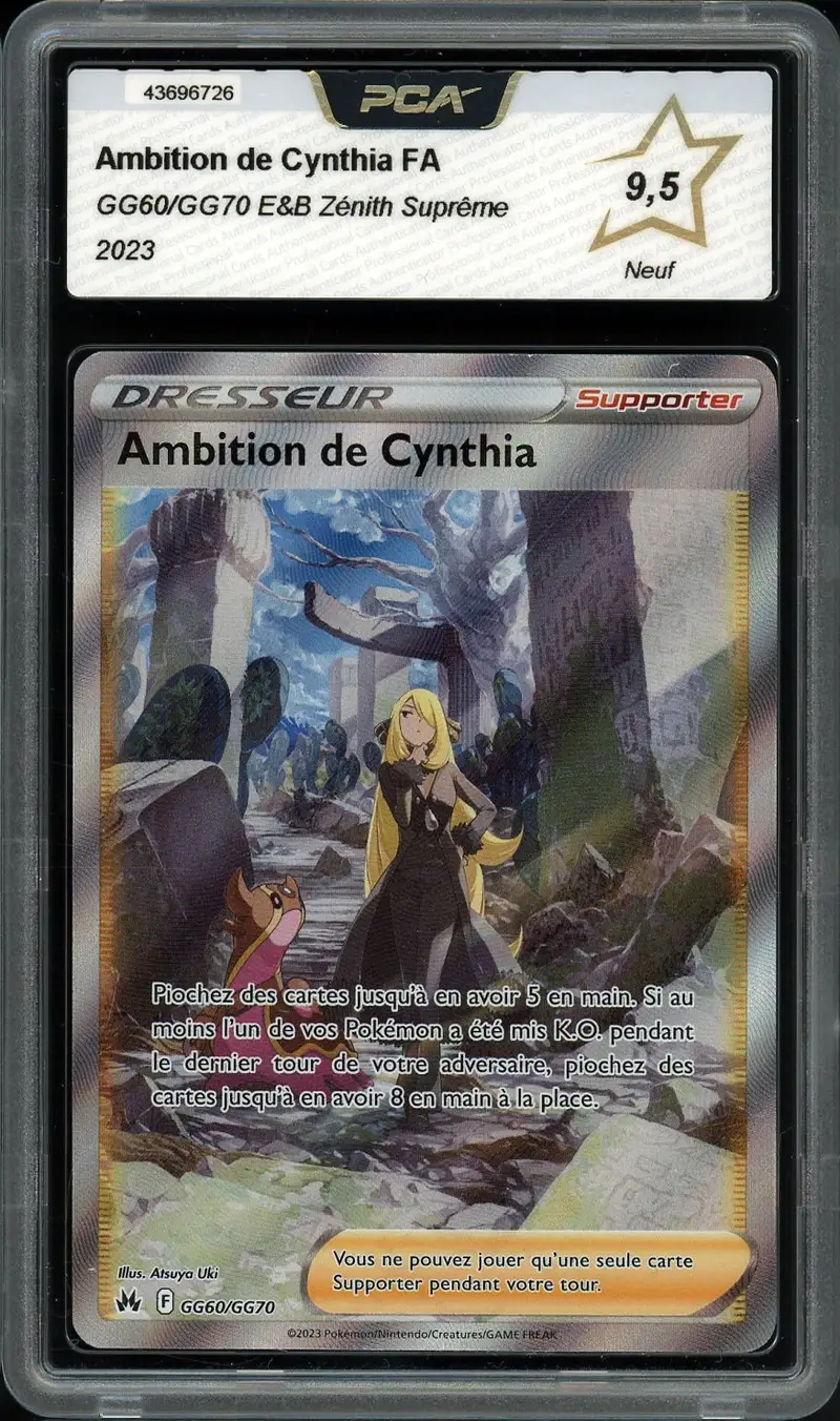 PCA 9.5 Ambition de Cynthia