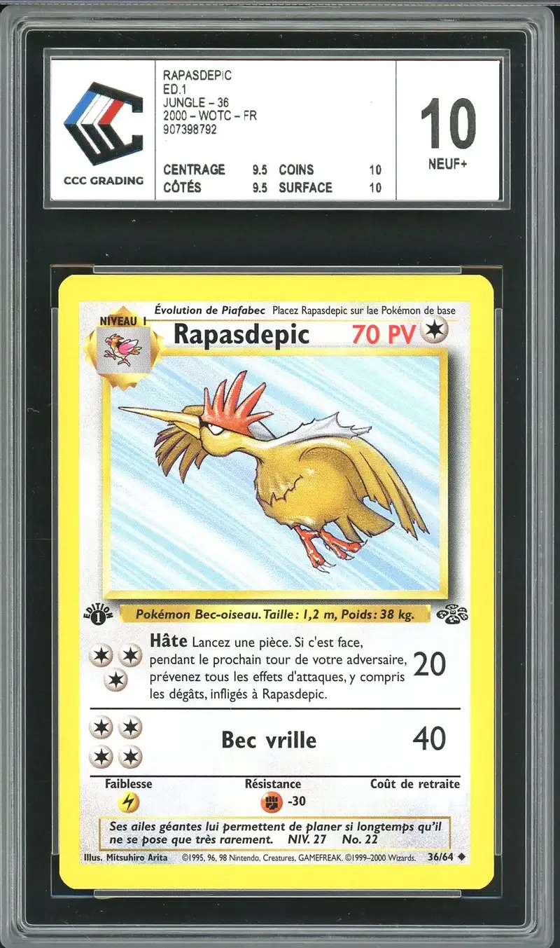 CCC 10 Rapasdepic