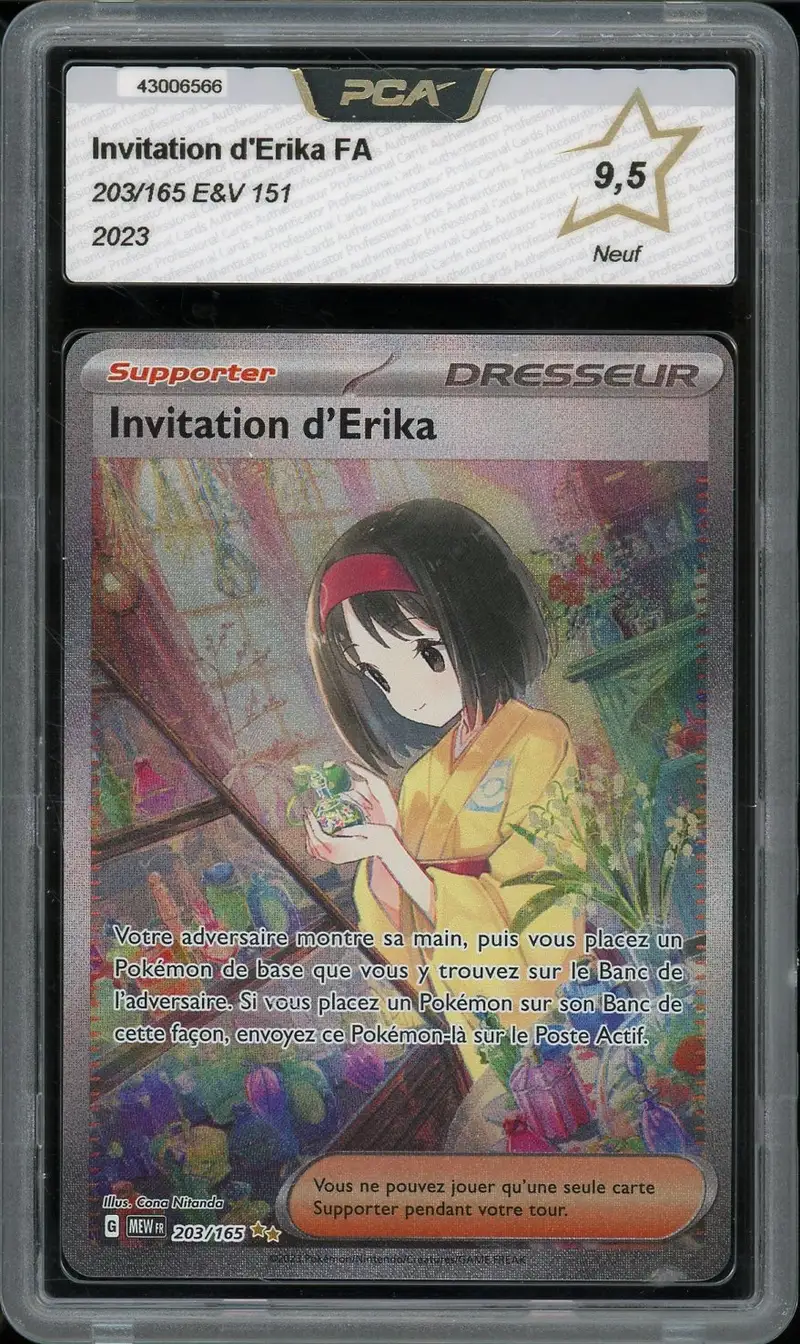 PCA 9.5 Invitation d'Erika