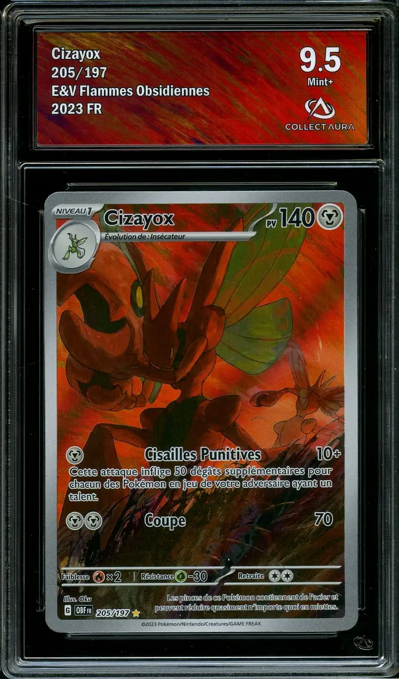 CA 9.5 Cizayox