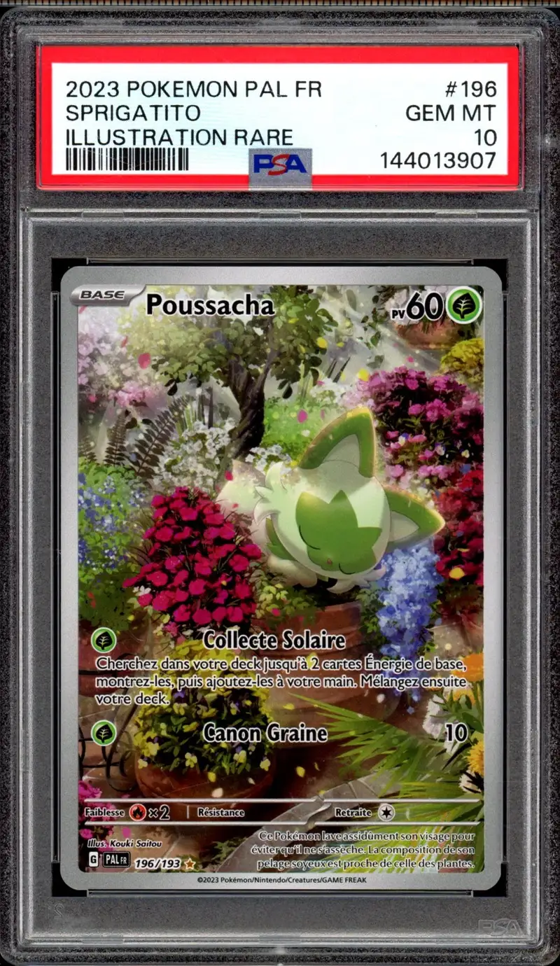 PSA 10 Poussacha