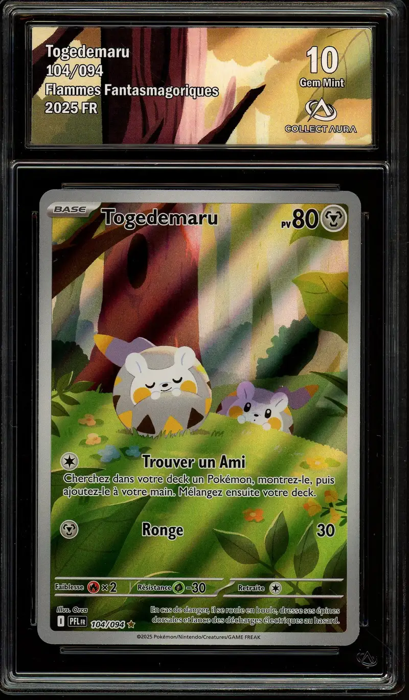 CA 10 Togedemaru