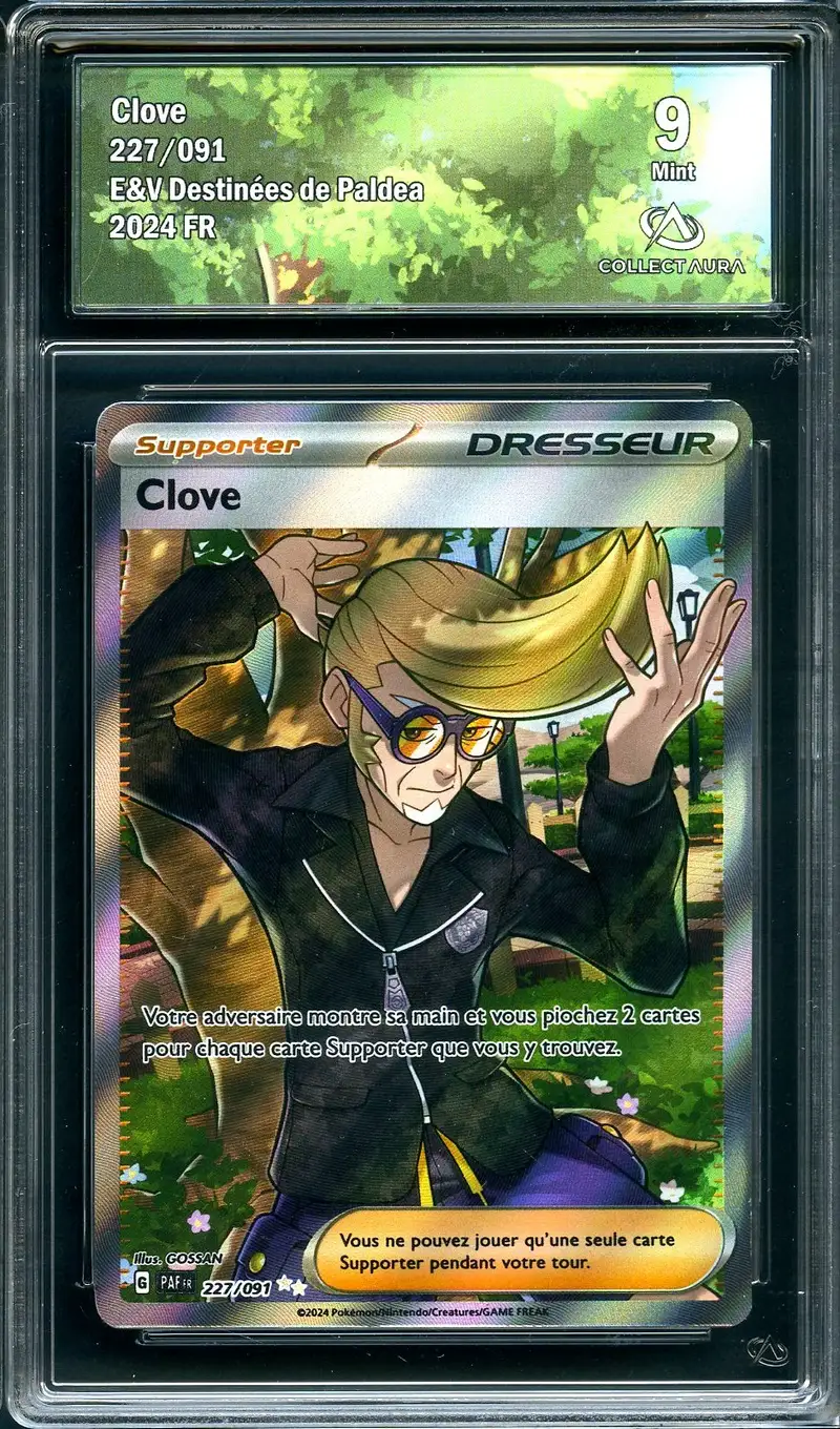CA 9 Clove