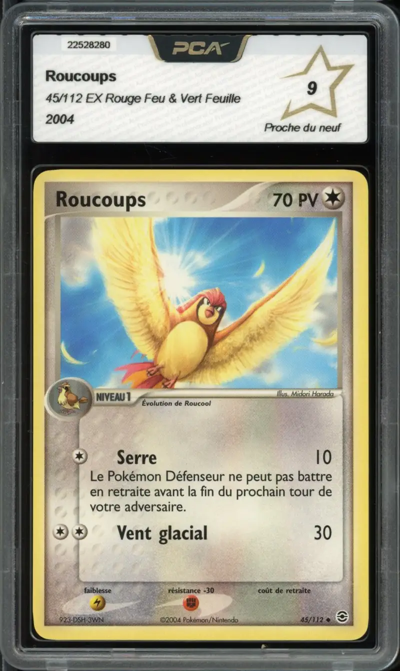 PCA 9 Roucoups