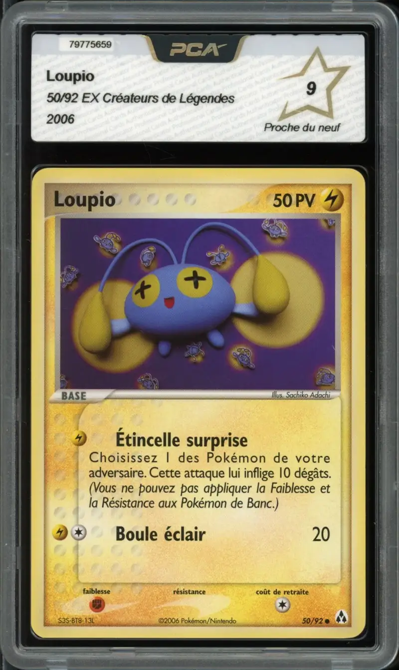PCA 9 Loupio