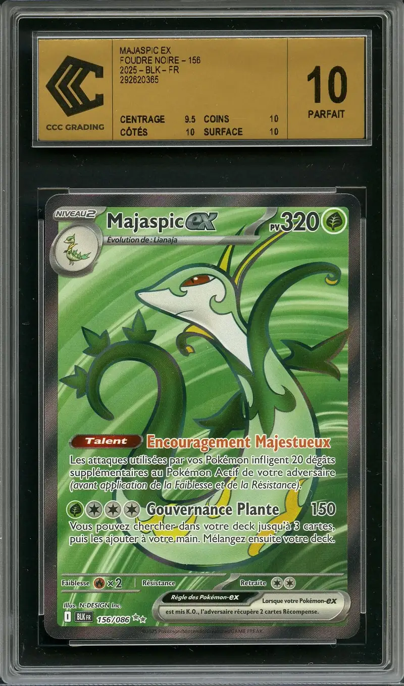 CCC 10 Majaspic Ex
