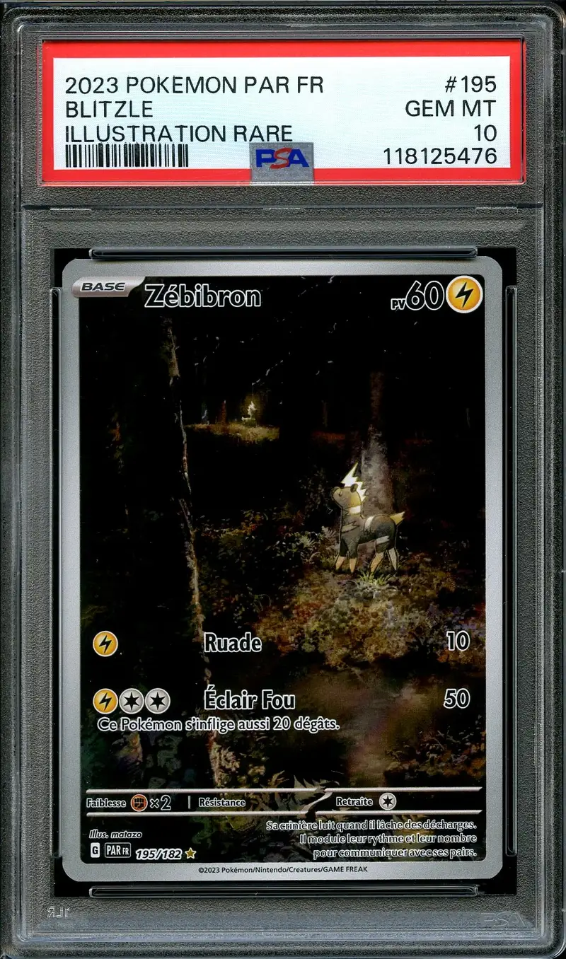 PSA 10 Zébibron