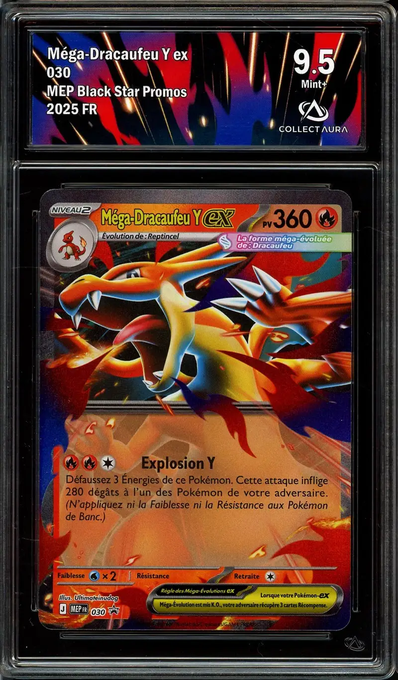 CA 9.5 Méga-Dracaufeu Y Ex